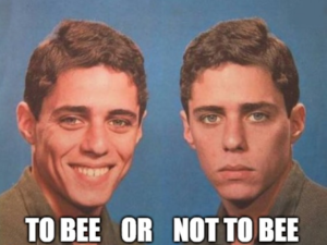 Leia mais sobre o artigo Conheça a divertida Campanha de Memes da To Bee